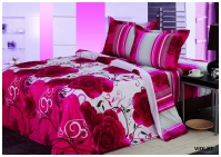 Двуспальное постельное белье  DAILY "VIOLET" / артикул 100-497